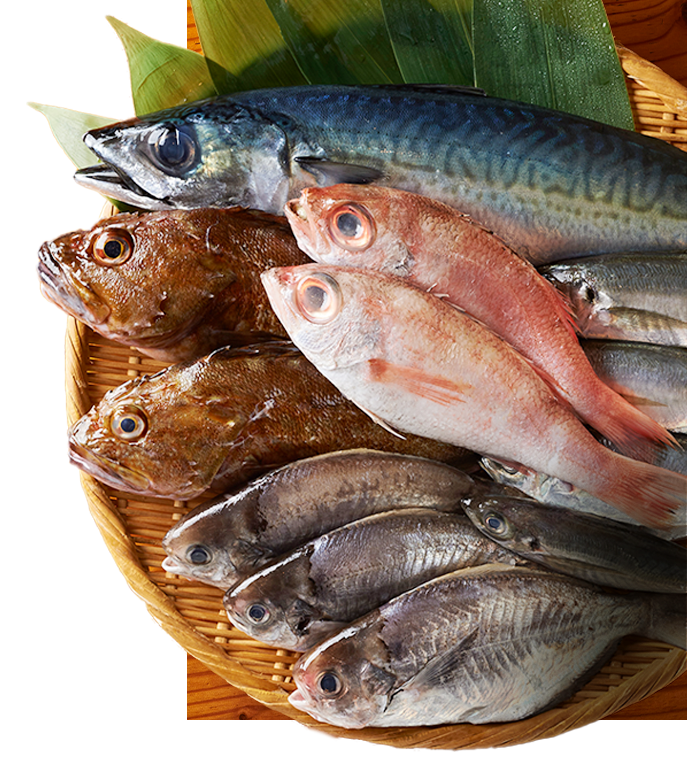 鮮魚集合