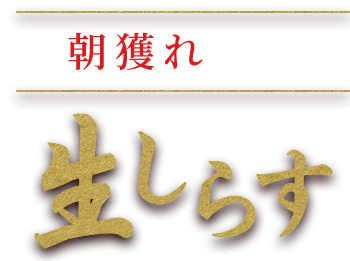 生しらす