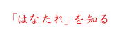 「はなたれ」を知る