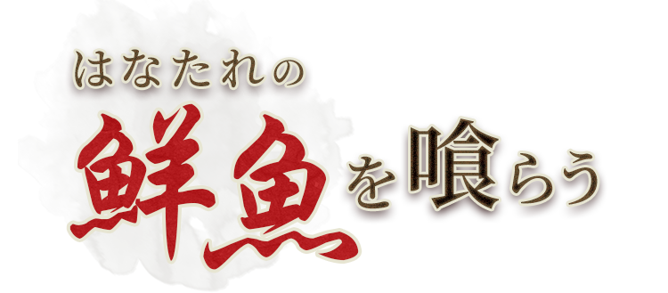 はなたれの鮮魚を喰らう